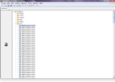 Screenshot of Pelles C